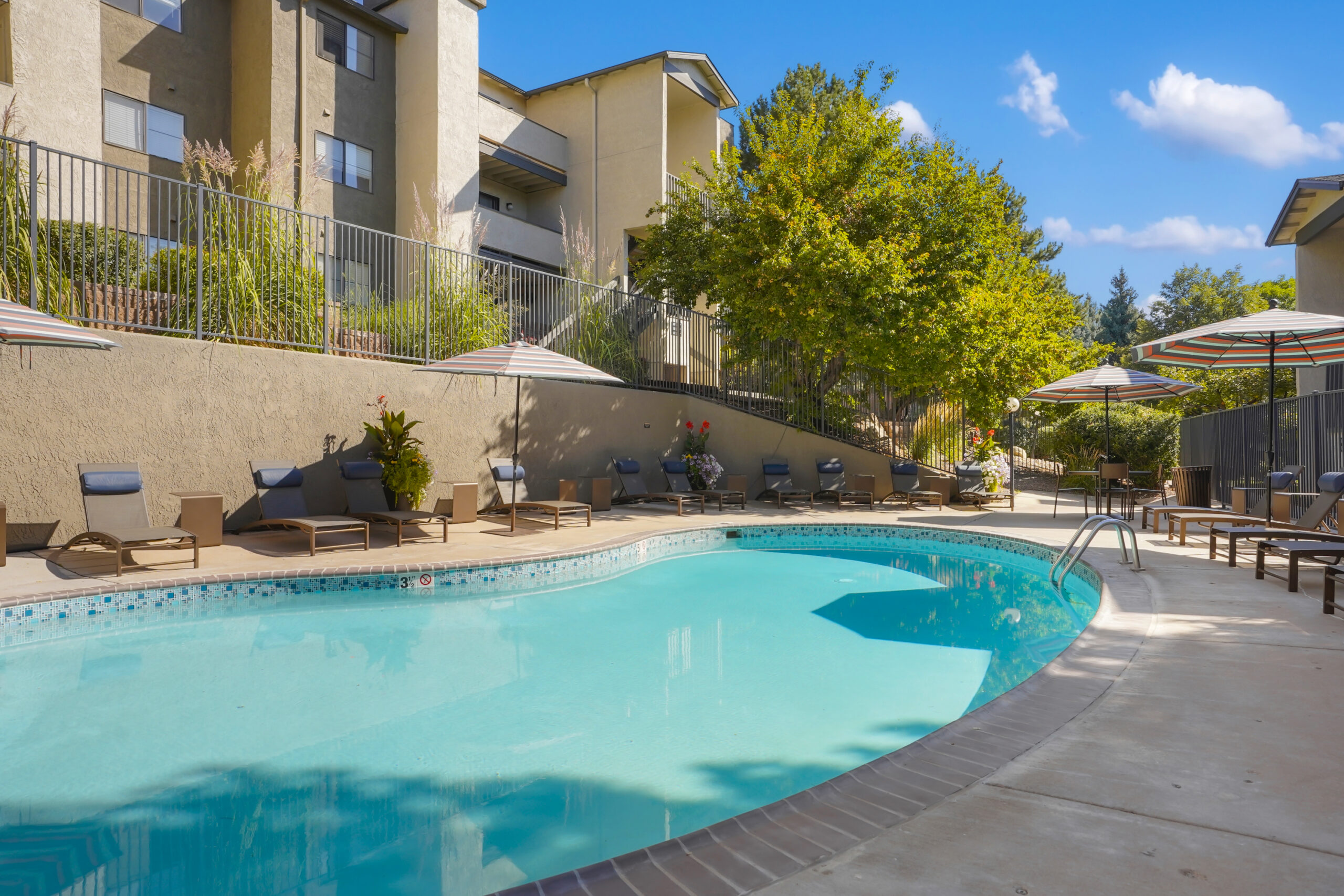 SoFi Belmar Apartments in Lakewood swimming pool